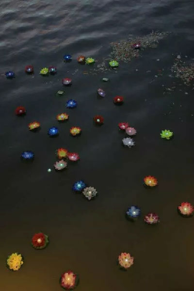 中文字幕av久久波多野结